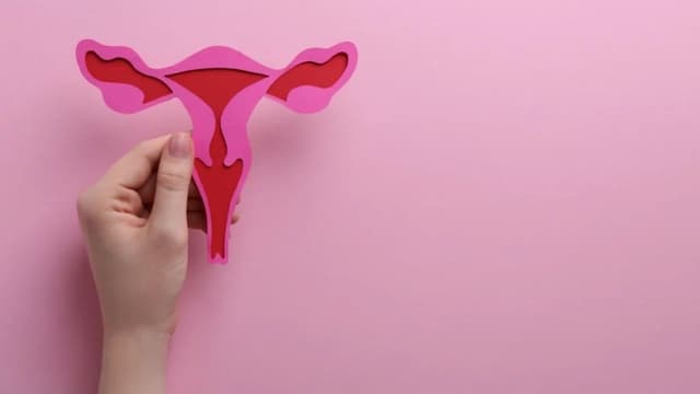 Cẩm nang từ A–Z về viêm âm đạo: Nhận biết sớm và chữa trị đúng cách