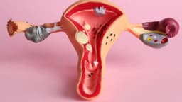 Khám viêm âm hộ ở Tây Hồ: Nguyên nhân, dấu hiệu và cách điều trị