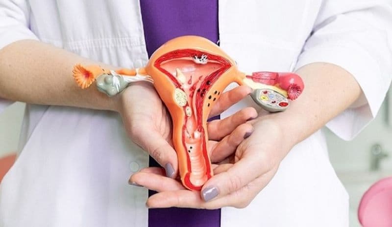 Viêm âm hộ là tình trạng vùng da và niêm mạc bên ngoài cơ quan sinh dục nữ