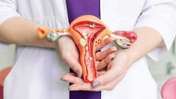 Viêm âm hộ: Dấu hiệu nhận biết và địa chỉ khám viêm âm hộ ở Nghĩa Đô đáng tin cậy cho chị em