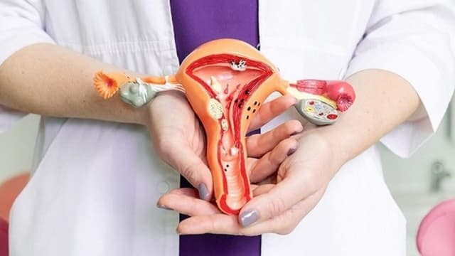 Viêm âm hộ: Dấu hiệu nhận biết và địa chỉ khám viêm âm hộ ở Nghĩa Đô đáng tin cậy cho chị em