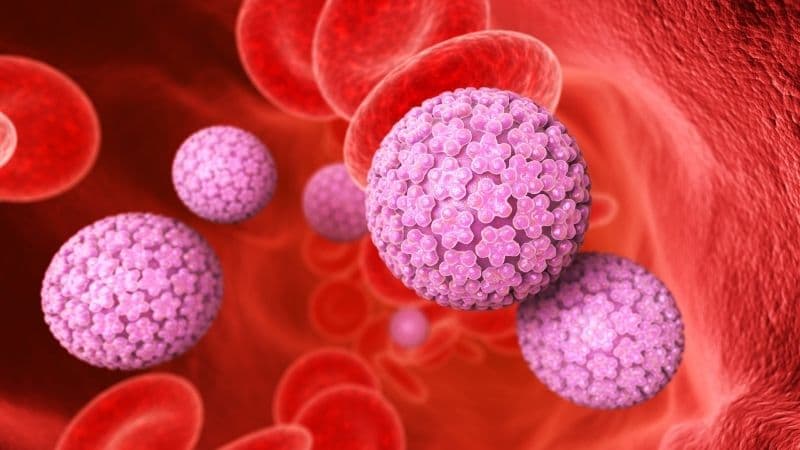 HPV chủ yếu lây qua quan hệ tình dục và tiếp xúc trực tiếp da, niêm mạc với vùng nhiễm virus. 