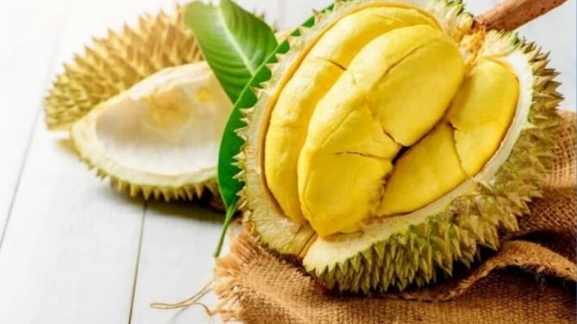 Bị trĩ có ăn được sầu riêng không? Ăn thế nào để không ảnh hưởng tiêu hóa?