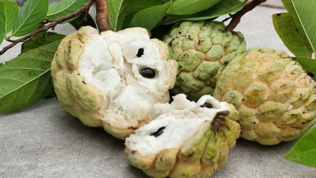 Bà bầu ăn na có tốt không? Những lợi ích và lưu ý mẹ cần biết
