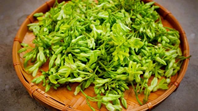 Bà bầu có ăn được hoa thiên lý không? Ăn thế nào để an toàn?