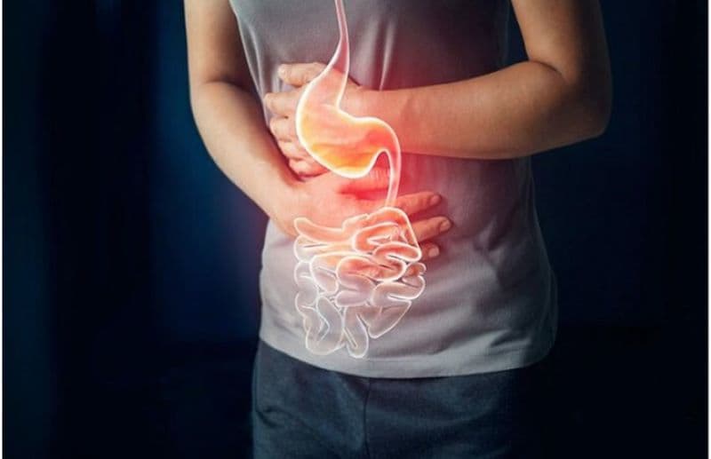 Dạ dày có hình dạng giống một chiếc túi cong