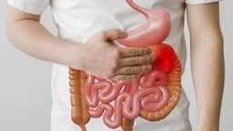 Bao tử và dạ dày có giống nhau không? Cách phân biệt và những điều cần biết