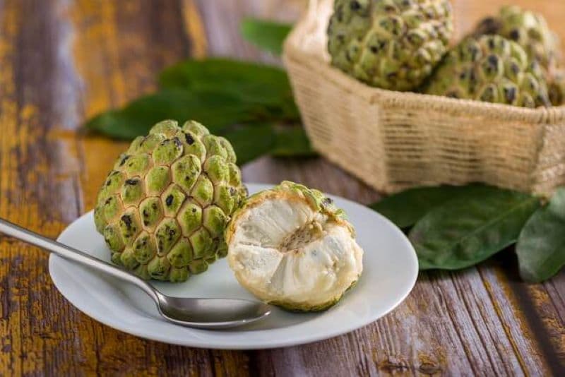 Bầu 3 tháng đầu ăn na được không thì câu trả lời là có