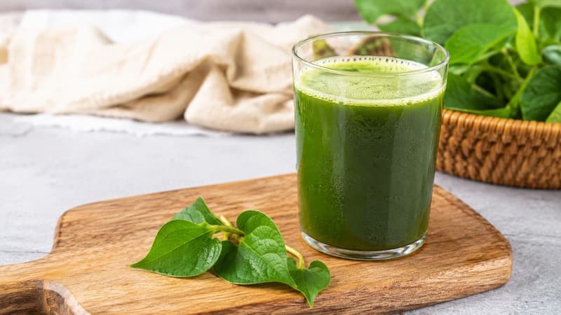 bầu ăn rau diếp cá được không