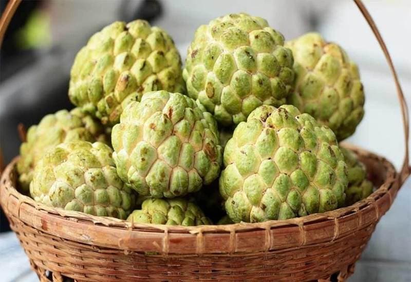 Bà bầu ăn na có tốt không là thắc mắc khá phổ biến được nhiều người quan tâm