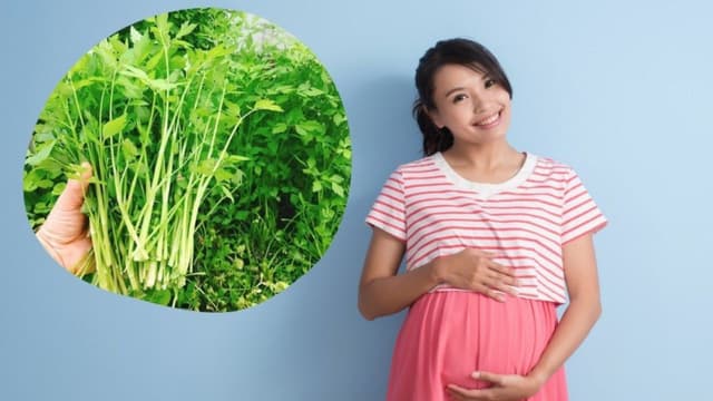 Bầu ăn rau cần được không và ăn thế nào an toàn cho thai kỳ?