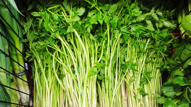 Rau cần cung cấp chất xơ, folate cùng nhiều vitamin và khoáng chất, góp phần đa dạng thực đơn thai kỳ.