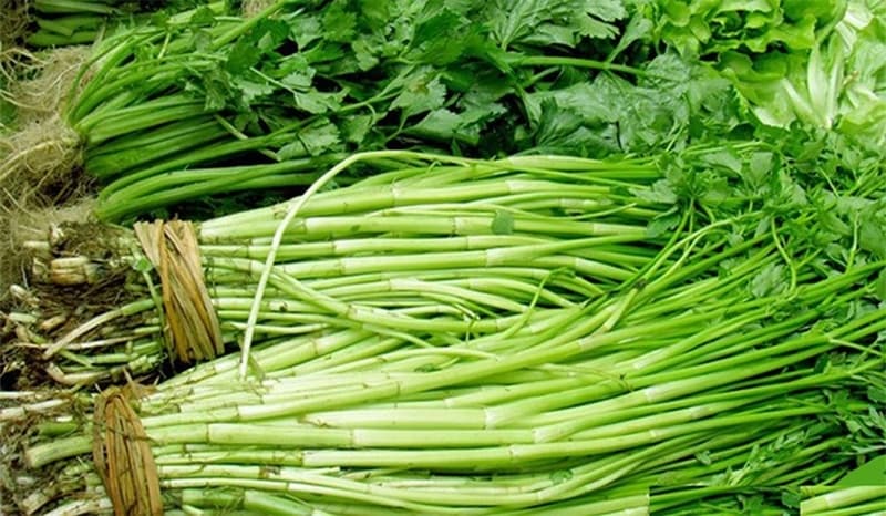 Trong 3 tháng đầu thai kỳ, mẹ nên ưu tiên rau được sơ chế kỹ và nấu chín để bảo đảm an toàn thực phẩm.