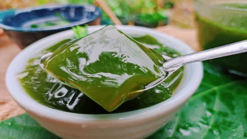 Mẹ bầu có thể ăn sương sâm với lượng vừa phải nếu nguyên liệu được lựa chọn và sơ chế sạch.