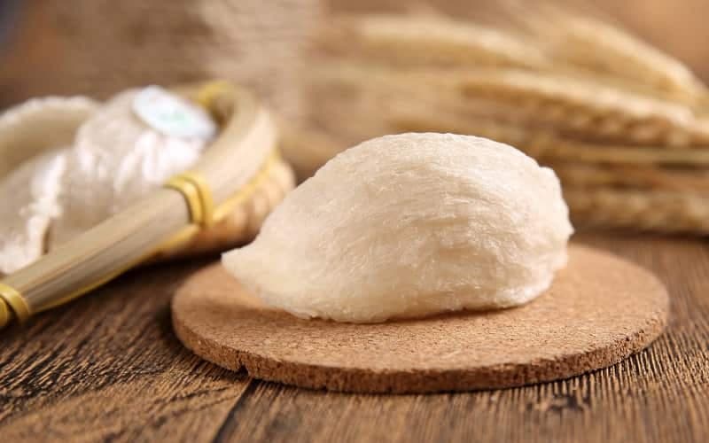 Yến sào chứa protein, glycoprotein và nhiều loại axit amin