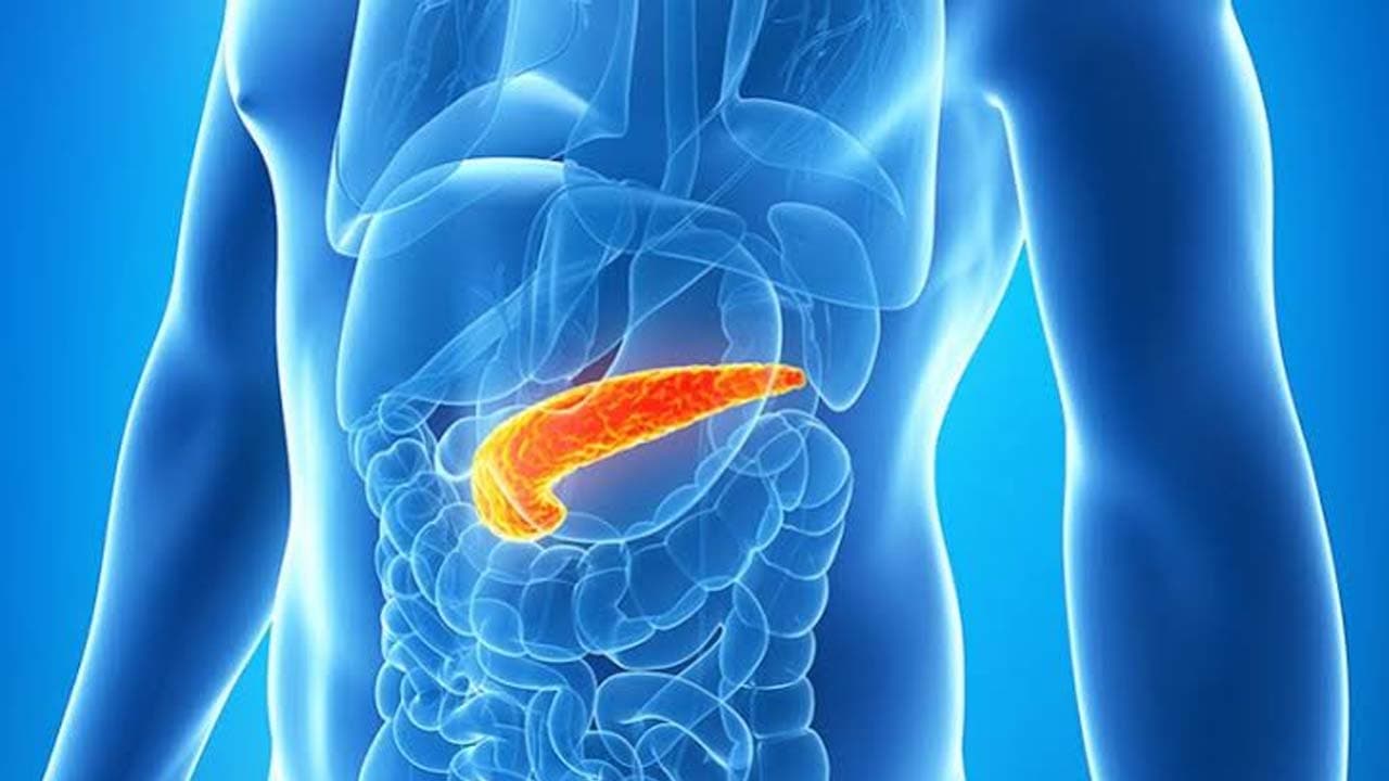 Các bệnh thường gặp ở tụy là gì? Dấu hiệu nhận biết như thế nào?