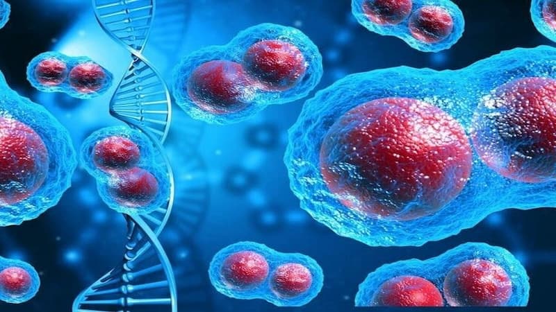 Bị ung thư có nên ăn đường không?