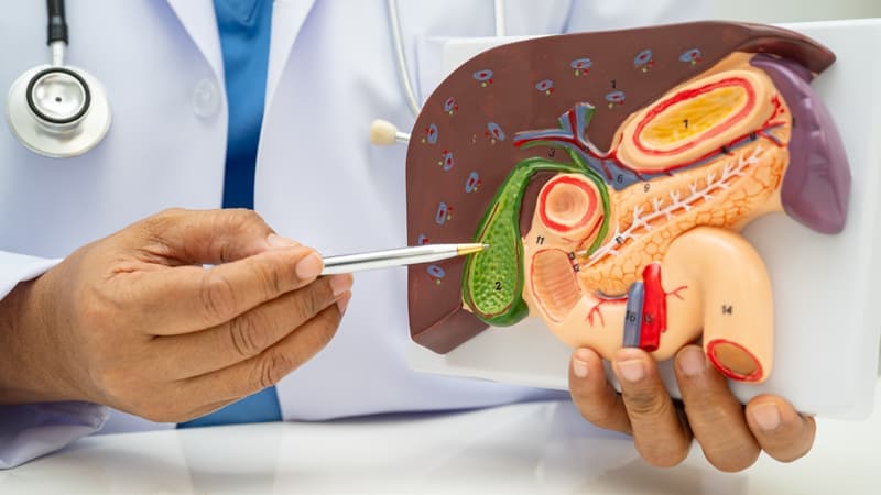 Bilirubin trực tiếp được gan xử lý trước khi bài tiết vào dịch mật