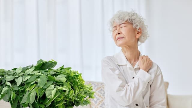 Tìm hiểu đau xương khớp có ăn được rau ngót không?