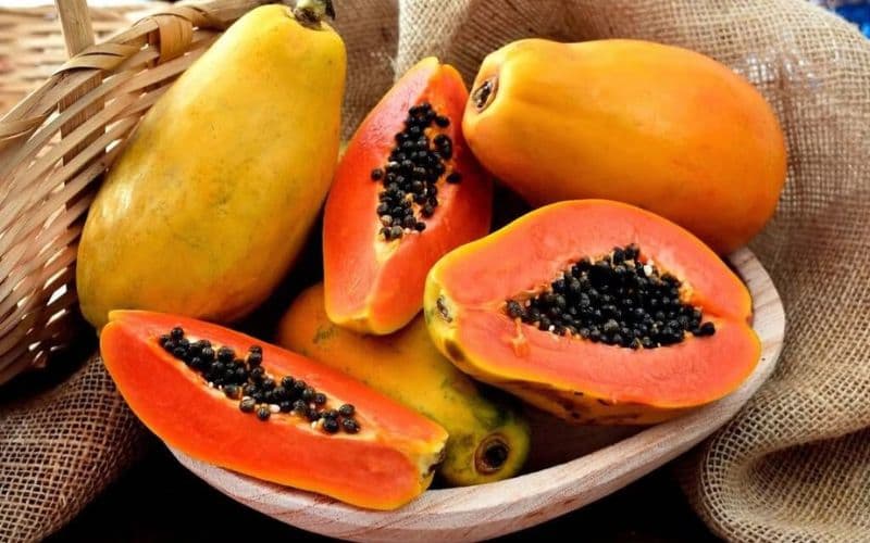 Đẻ mổ ăn đu đủ chín được không?