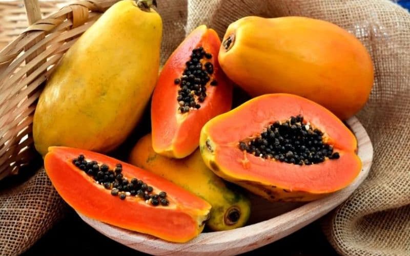 Với câu hỏi sau sinh mổ bao lâu ăn được đu đủ chín, thời điểm phù hợp phụ thuộc chủ yếu vào khả năng hồi phục và dung nạp thức ăn của từng mẹ