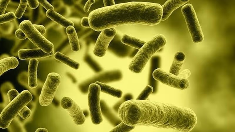 Độc tố botulinum