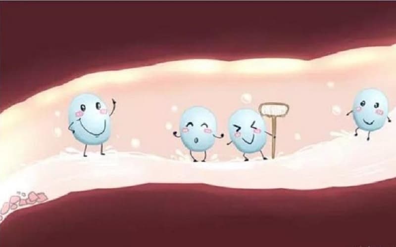 Tuyến nước bọt là cơ quan đầu tiên tiết ra men tiêu hóa Amylase ngay khi chúng ta nhai thức ăn