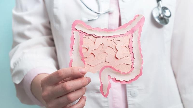 Ruột già là phần cuối của ống tiêu hóa, tiếp nối với ruột non và kéo dài đến trực tràng, hậu môn