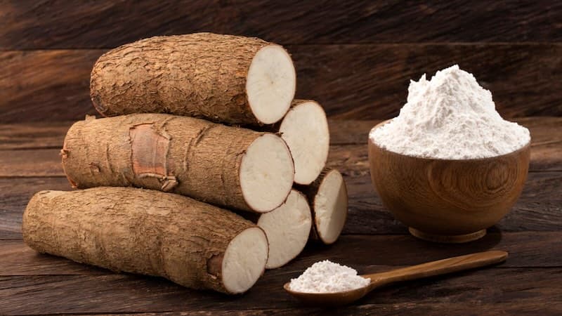 Bị ung thư có ăn được sắn dây không là thắc mắc của nhiều người