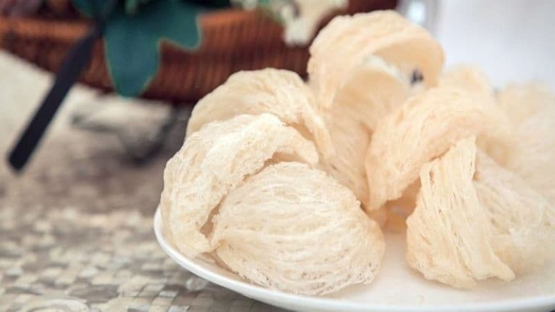 Bị ung thư có ăn yến được không là băn khoăn của nhiều người