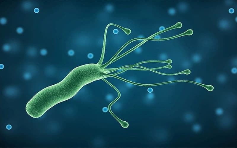 Vi khuẩn HP gây ra nhiều bệnh lý dạ dày
