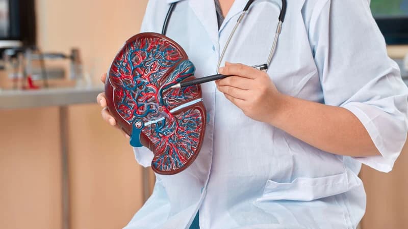 Ở người bị viêm gan B, gan đã phải chịu tác động của virus HBV và có nguy cơ tiến triển thành tổn thương gan mạn tính