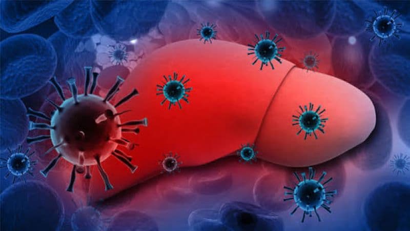 Điều trị viêm gan virus B đồng nhiễm viêm gan virus D gặp nhiều khó khăn