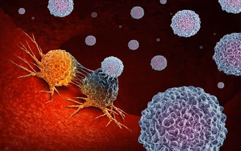 Polyp có thể hình thành do nhiều yếu tố như viêm nhiễm hoặc bất thường trong tế bào.