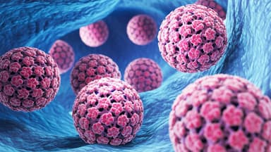 Virus HPV có ở đâu? Hiểu đúng để chủ động phòng ngừa