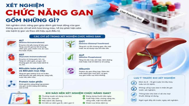Xét nghiệm chức năng gan gồm những gì? Giải đáp các thắc mắc thường gặp