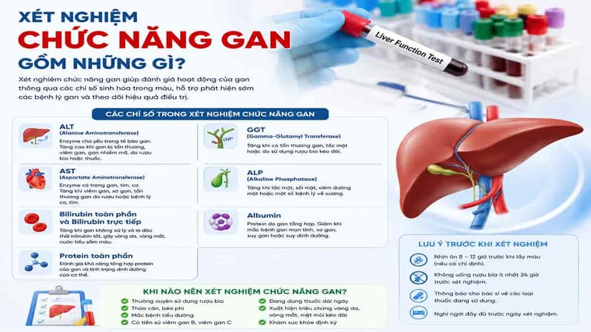 Xét nghiệm chức năng gan gồm những gì? Giải đáp các thắc mắc thường gặp