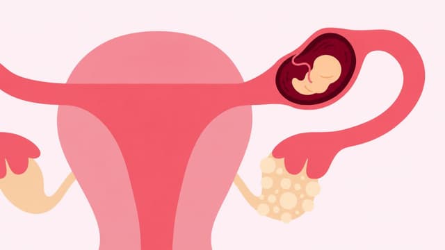 Thai ngoài tử cung là gì và xử trí như thế nào?