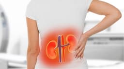 Sỏi bàng quang là gì? Nhận biết dấu hiệu, biến chứng và cách điều trị