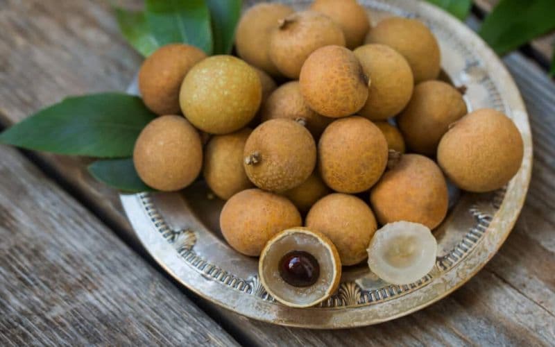 Bà bầu ăn nhãn được không?