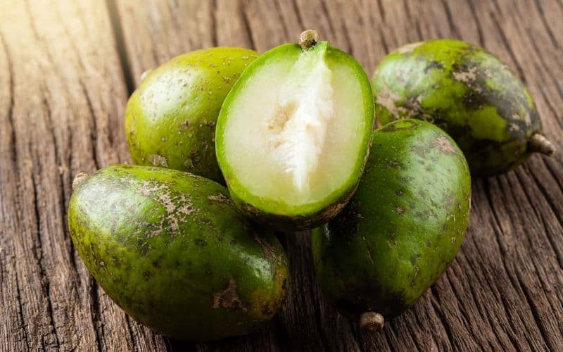 Bầu ăn cóc được không