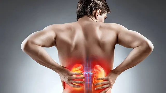 Thận hư là gì? Cách điều trị thận hư trong đông y 