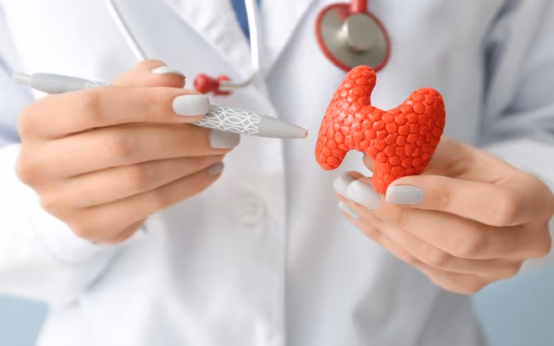Khái niệm về nang giáp và các dạng thường gặp