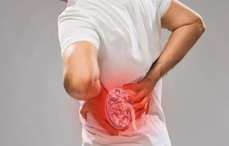Thận hư có biểu hiện qua đau lưng, mỏi gối, mệt mỏi, tiểu đêm, ù tai, suy giảm trí nhớ và rối loạn giấc ngủ