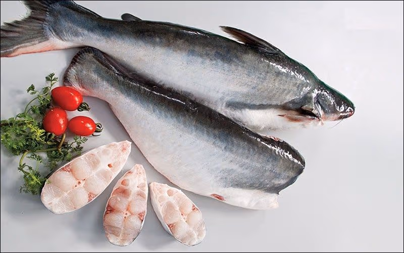 Các loại cá bà bầu không nên ăn
