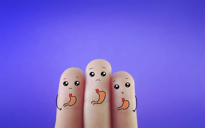 Thực quản là một ống cơ nối họng với dạ dày, có chức năng đưa thức ăn và nước uống xuống dạ dày