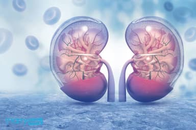 Dương hư là gì? Dấu hiệu nhận biết và cách cải thiện theo Đông y