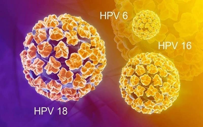 HPV có nhiều type khác nhau
