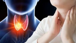 Nang giáp là gì? Dấu hiệu và cách điều trị hiệu quả