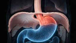Thoát vị hoành là gì, có nguy hiểm không?